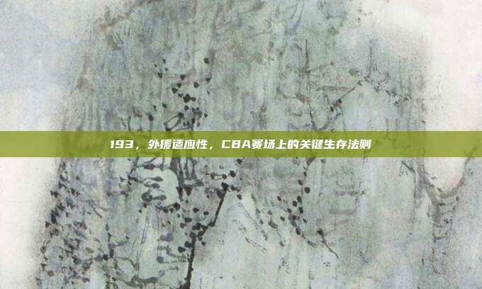 193，外援适应性，CBA赛场上的关键生存法则