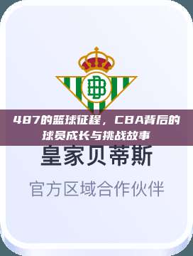 487的篮球征程，CBA背后的球员成长与挑战故事